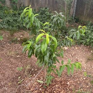 Meet your Posher, Andre